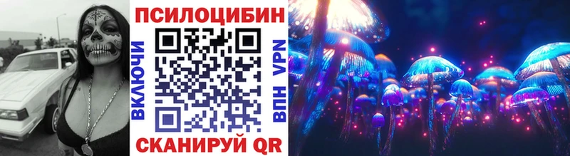 магазин    Кизляр  Галлюциногенные грибы GOLDEN TEACHER 