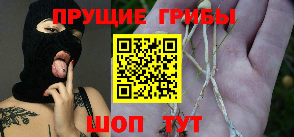 Галлюциногенные грибы ЛСД  Вход с VPN  цены наркотик  Кизляр 